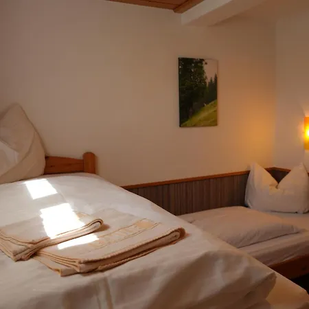 Apartment Apartmentpension Hillebrand Kitzbuhel
